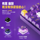 Cherry Cherry MX8.2 XAGA Obsidian Series Wireless Bluetooth Drei-Mode-E-Sport-Gaming-Mechanik-Tastatur RGB Light Effect Triple transparente PBT-Tastaturkap-Kompatible MAC-System Xaga-Pokemon Joint Genggui Mx2a Redachse