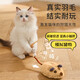 Zhenyou pet cat toy cat automatic cat ball electric mouse self-exciting tool teeth grinding kitten kitten pet supplies