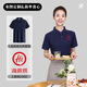 Beiluo Sommerarbeit Kleidung benutzerdefinierte T-Shirts Corporate Factorate Kleidung Werbung für Kulturhemd Ice Seide Schnelltrockne Polo-Werkzeugdrucklogo [ICE Seiden Anti-Falten-Perlen-Land] ZC-677 Tianlan XL
