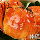 Live crabs Lake fresh Yangcheng hairy crabs whole female 3.3-3.6 pairs 8 pieces with rope feet removed fresh stock fresh aquatic products extra large crab gift seafood gift box
