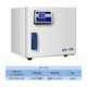 Caja de secado de ventilador eléctrico XMSJ Selector de materiales medicinales Materiales de secador de alta precisión Temperatura constante DHG-9230 (pantalla de acero inoxidable de pantalla LCD biliar de acero inoxidable