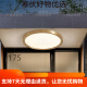 全铜户外吸顶灯别墅大门口门前灯室外过道阳台灯防蚊虫庭 X3893-500/方形