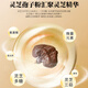 Shiyintang Ganoderma Lucidum Spore Powder Powder Box Guanxian Ganoderma Lucidum Health Products Envoyez directement des cadeaux aux anciens 2g / sac * 60 sacs 120g