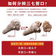 Peking Tongrentang Wenshan ausgewählte Sanqi Kopf authentische Sanqi -Pulver Yunnan Chunqi 20 Köpfe 30 Köpfe Tianqi Keine geschnittenen Schiebköpfe Sanqi Pulver. Kostenloses Schleifen sanqi Ultrafeine Pulver mit Gleitköpfen Sanqi 20 No Cuts (500 g)