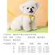 Hippie dog puppy leash vest type dog walking rope small dog harness dog chain S size recommended 1-6 Jin Jin equals 0.5 kg