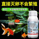 Escherichia coli, Bacillus thuringiensis mosquito larvae medicine to eliminate larvae eggs, fish tank, fish pond, pond insecticide 100ml