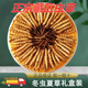 礼盒冬虫夏草礼盒虫草2根1克干货冬虫草送礼滋补精品礼盒装 西藏那曲断草10克送1克发11克