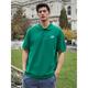 耐克（NIKE）春季新款POLO衫Nike耐克绿色短袖男正品翻领上衣棉运动T恤半袖 灰色FN3895-063 纯棉透气 S 推荐100-120斤