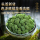 Beijing Tongrentang Yunnan Wenshan SANQI Flower Field Qihua Store Oficial Flaghip Materiales medicinales chinos especiales de grado especial para preparar té. Sranqi Flower de cuatro años 250g una lata [Flower NUEVA de 24 años]