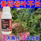 Tomato Disease Bacteria Clearing Microbial Bacteria Tomato Disease Botrytis Botrytis Anthrax Fungicide Non-Toxic Bacteria-Inhibiting Bacteria Best Selling Tomato Bacteria Clearing Tomato Bacteria Clearing 100g 1 Bottle