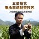 传奇会乌龙茶 安溪铁观音 清香型特级500g轻火礼盒装茶叶自己喝送礼