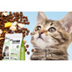 OIMG pet Kangchen freeze-dried cat food 10 Jin Jin is equal to 0.5 kg. General-purpose high protein for all stages of adult cats and kittens. Fresh meat and grain-free. 10 Jin Jin is equal to 0.5 kg. Value pack.