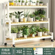 Ximofang [753 rachat] Balcone de fer Balconie Stand de fleurs intérieure salon étage de fleur de fleur de plancher balcon de plantation de légumes nanzhu nanzhu rack blanc une couche 60 hauteur 10 largeur 25-nanzhu