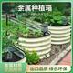 Cadre de plantation de métal lit de légumes Plantation de légumes Cour de jardin extérieur balcon rond Simple 9N1-32244 * 61 * 81cm Autre blanc ivoire
