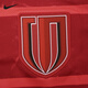 Nike Tianlang Football Nike 25th season Chinese Super League Chengdu Rongcheng home jersey short-sleeved football uniform HM6166-687 The picture is for printing only, no reason for return and exchange S