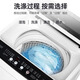 Rongshida 8 Common Jin [Jin equivale a 0,5 kg] Pulsador de gran capacidad de lavadora completamente automática para ahorro de energía de alquiler doméstico y deshidratación con un solo clic Rongshida 8 kg Modelo doméstico de gran capacidad