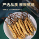 
Weishuihong Cordyceps gift box 40 10 grams of Cordyceps gift box on Father's Day to send parents and elders to meet their parents for business gifts. High-end Cordyceps gifts