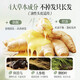南京同仁堂防脱育发洗发水防脱发生姜洗发水控油蓬松生长发固发洗发水500ml