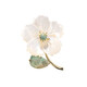 
QUAMER old phoenix retro sea water shell emperor stone flower brooch women high-end design niche suit large X2677-1-168 Golden green emperor stone shell flower
