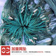 Guangtai 1-finger 2-finger 3-finger 4-finger pull net fishing net pull net drag net clear pond fishing net partition net fish net 12 strands mesh 2 fingers 3 meters high 30 meters long unfolded height is 2.1 meters