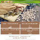 Store phare officiel Cinq comprimés de trésor Yunnan Wenshan Panax Notoginseng Dendrobium gastrodia salvia salvia ginseng American Five-in-One Authentic Chinese Medicine Shoot 1 Shot 1 (bouteille unique) Sélectionné 20 Panax Notoginseng Five Treasure Tablets 250G