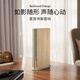 B&O Gong Jun endorses Beosound Emerge Bluetooth speaker home art audio b&o creative book speaker gold government subsidy New Year gift