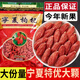 Erya Beningxia Special Red Wolfberry Authentic Dog Balloon Special Red Wolfberry séché Xinjiang Mulberry Tea Red Wolfberry Special Ningxia Wolfberry 10G