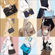 Presbyopia carryall small tote bag ivy horn baguette postman nano pillow all in bb bucket bag