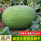 Chihui 8424 Kirin watermelon seedless seedless southern four-season high-yield large-fruit lazy Han Meidu thin-skinned watermelon seeds collection seedless black crown watermelon seeds 60 capsules