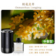Michu 2025 New Perfume Balm Car Fragrance Ornaments Removes Odors and Lasts Osmanthus Longjing Replenishing Liquid-Unexpected Encounter