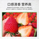 Beipin Cream Strawberry Seeds are big and sweet. They bloom and bear fruit all year round. Strawberry seeds are potted fruits for the courtyard and balcony. Cream Strawberry Seeds. About 1,000 capsules.