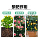 Phosphate fertilizer, superphosphate fertilizer for growing vegetables and flowers, fertilizer for fruit trees, flowers and agricultural crops, general flower-stimulating calcium phosphate fertilizer, phosphate fertilizer 5Jin Jin is equal to 0.5kg (trial)