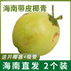 Xirou Hainan Coconut Green Coconut with Skin Green Coconut Fresh Coconut Water Coconut Juice Fruit Healthy Drink for Pregnant Women Freshly Picked Green Coconut with Skin 2 Pack