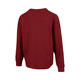 Nike NIKE [大发发] Women's AS W NY LUXE WAFFLE L/S CREW G sweatshirt HV8466-677 L