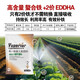 EDDHA-FE6 Fertilizante con hierro quelado Fertilizante foliar Árboles frutales y hortalizas Amarillamiento de los cítricos Hojas amarillas Enfermedad de las hojas blancas Suplemento de hierro Fertilizante soluble en agua EDDHA-Hierro quelado Caja completa 24 Jin Jin equivalente a 0,5 kg
