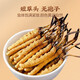 Wanlianwan Cordyceps Cordyceps Geschenkbox Geschenke Geschenke Cordyceps Health Tonics Geschenke für ältere 5 Sticks/Gramm 250 Gramm rot transparent