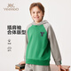 Yeehoo Kinder Sweatshirts Jungen Kleidung Herbst Fashion Casual Kapuze Langarmed Tops Herbst Neue Kleidung mittelgroß und große Kinderkleidungsbuchstaben Emerald Green 150
