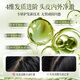 
Viters Shampoo Oil Control Fluffy Women's Long-lasting Fragrance Shampoo Anti-dandruff Anti-Itch Gold List No. 1 Shampoo without silicone oil