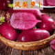 
[3341 pieces in 30 days] Pineapple fruit radish seeds raw Purple beauty radish Rouge radish seeds Summer four Premium original [1098 pieces] Five packs Fruit-type pineapple radish seeds (new seeds this year)