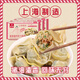 Guangmao Shanghai Lard Pulp Shepherd's Purse 10 Gran Wontons/Baoyuan Heping Hotel's Chef recomienda vapor y cocción listos para comer 5 paquetes de wontons (1428g)