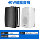 先科（SAST）DW40壁挂式音响音箱喇叭 40W无源需连功放机店铺商用工程会议室家用餐厅公共广播背景音乐 4英寸	