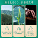 Xihu brandneuer Tee 2025 Neuer Tee wird auf dem Markt eingeführt. Longjing -Tee, Mingqian Sonderauswahl 2 Dosen insgesamt, 100 g Frühlings -Tee -Getränk selbst