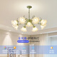 
XMSJ French pastoral living room chandeliers creative internet celebrity lily of the valley flower lamp American country retro lamp restaurant bedroom lamp YL6627 green three-head disc 35CM warm light