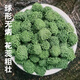 崹艼胖东来品质云南文山三七花官方店旗舰三七花中药材克三七头茬 精选三七花500克 【罐装】