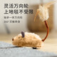 Zhenyou pet cat toy cat automatic cat ball electric mouse self-exciting tool teeth grinding kitten kitten pet supplies