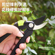 Deli tools pruning pruning scissors flower branch pruners fruit tree gardening pruning pruning branches floral pruners labor-saving large thick branches 8-inch labor-saving thin branch shears-DL580201