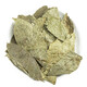 Yifanmai Wildes Green Willow Blatt chinesische medizinische Materialien Trockenwaren Geld Willow Tee und Wasser können als Maulbeerblatt-Rindfleisch Qingqian Willow Blatt 500 g verwendet werden (handverlustes neues Produkt)