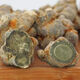 Panax NotoginSeng, authentischer Yunnan Wenshan Chun Panax Notoginseng, wild chinesischer Kräutermedizin Tianqi, Spezialgrad Slip-tall-tall-verstreute verstreute verstreute verstreute verstreute verstreute verstreute, verstreute verstreute verstreute verstreute verstreute verstreute verstreute verstreute verstreute verstreute verstreute verstreute verstreute verstreute verstreute verstreute verstreute verstreute verstreute verstreute verstreute verstreute verstreuten verstreuten verstreuten verstreuten verstreuten verstreuten verstreuten verstreuten verstreuten verstreuten verstreuten verstreuten verstreuten verstreuten verstreuten verstreuten verstreuten verleum