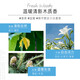 Lu Xiang Fun Lu Guan Oil Fluffy Shampoo Long-lasting Fragrance Jeju Breeze Shampoo 580ml