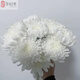 Garden new Qingming Festival yellow and white chrysanthemum flower bouquet mourning grave sweeping ancestors worshiping mountains and praying to gods Guangzhou base express delivery white chrysanthemum 90 pieces